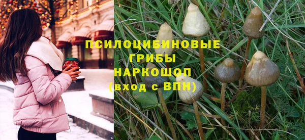 прущая мука Бородино