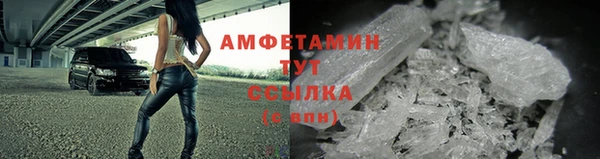 прущие грибы Верхний Тагил