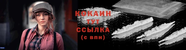 прущие грибы Верхний Тагил