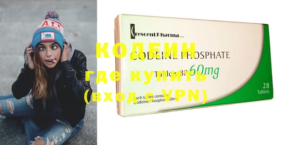 прущие грибы Верхний Тагил