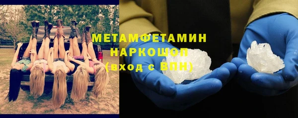 прущие грибы Верхний Тагил