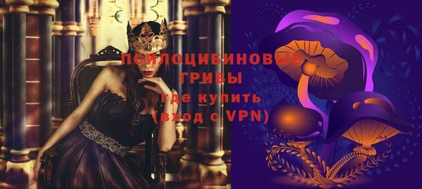 прущая мука Бородино